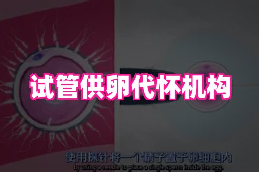 长沙助孕网站 1