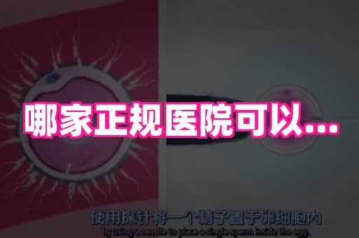 长沙助孕网站 2